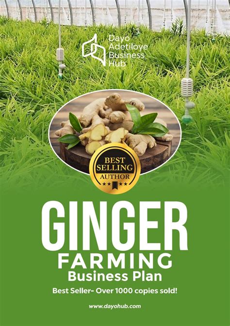Ginger Farming Business Plan